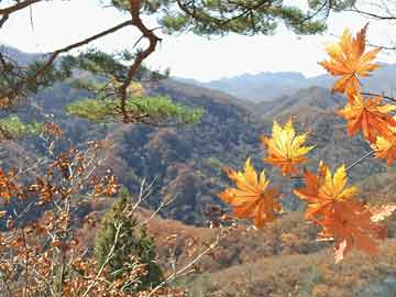 星空体育-中超前瞻：鲁沪大战泰山能否翻身 青岛德比或定保级生死